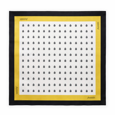 Silk Scarf Financier